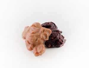 Hazelnoot rotjes