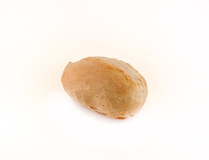 Duits broodje